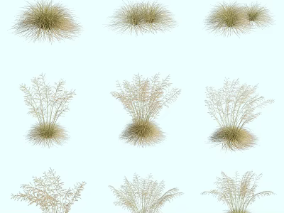 Assorted Natural Green Grass Plants With Different Shapes Against White Background 3d model