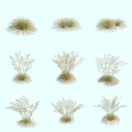Assorted Natural Green Grass Plants With Different Shapes Against White Background