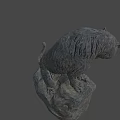 Stone Tiger Sculpture Standing On Rock Base With Detailed Texture