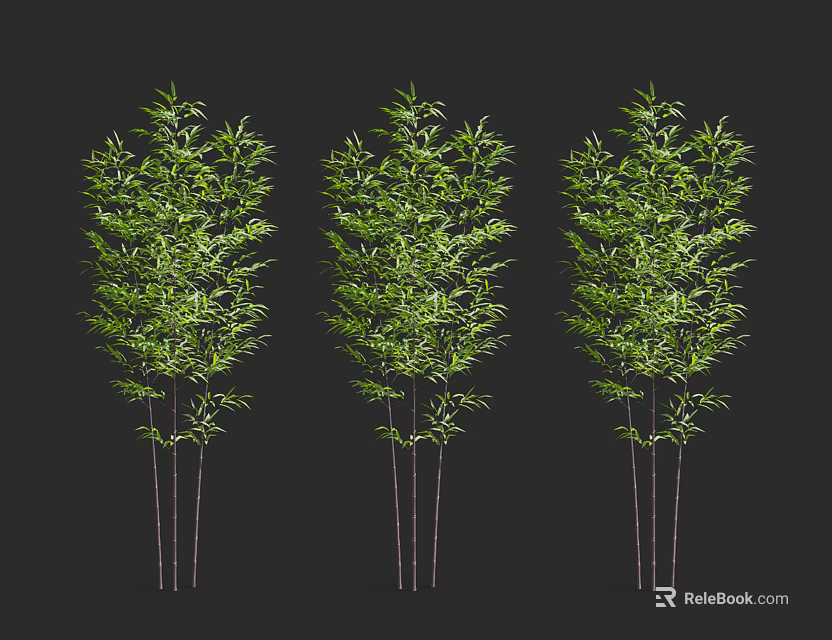 Three Natural Bamboo Plants With Fresh Green Leaves And Slender Stems 3d model 