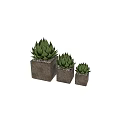 Decorative Ornament Set With Green Plant Ornaments On Brown Cube Pedestals And Small Pebbles