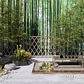 Zen Courtyard Garden with Bamboo Grove Lattice Fence Yellow Flowers and Raked Gravel