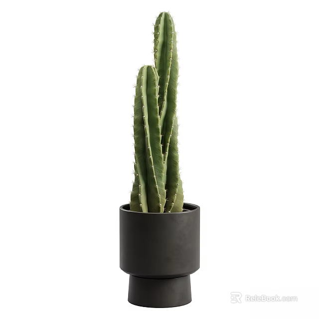 Green Cactus Decorative Ornament Set with Black Ceramic Pot for Home Decoration 3d model 