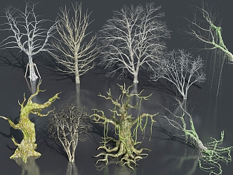 Dead tree, dead wood, dead branches, branches, trunks 3d model