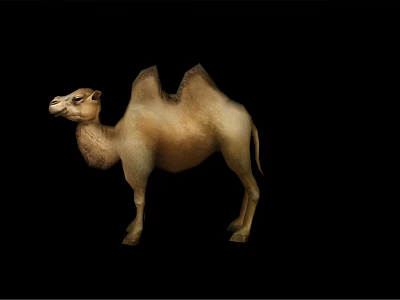 The Modern Camel 3d model