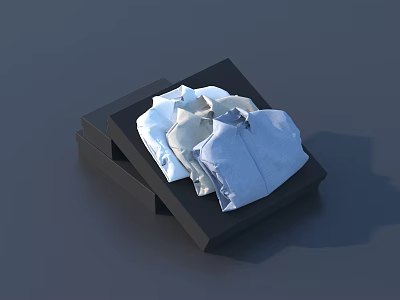 Neatly Folded Light Blue And White Shirts Placed On Black Box 3d model