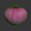Fresh Red Onion With Vibrant Purple Color Whole Bulb Isolated On Dark Background