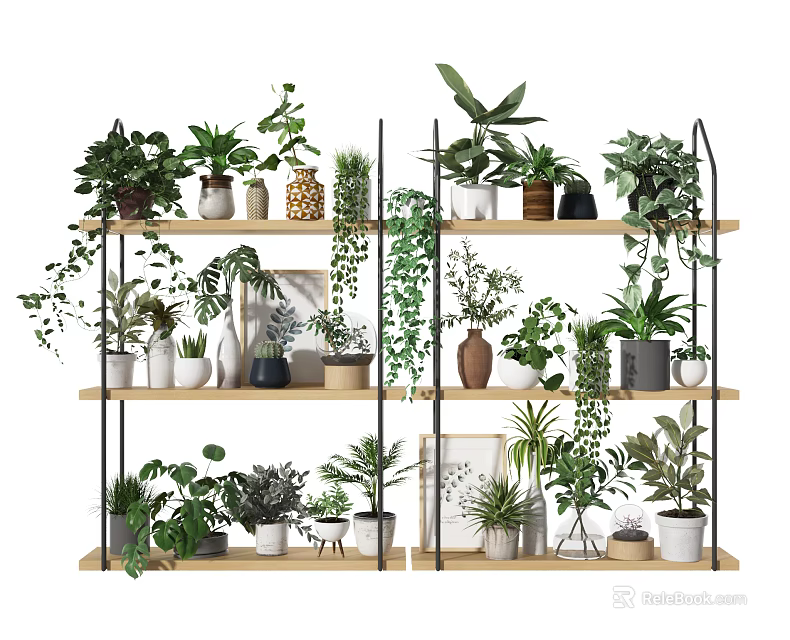 Bonsai and Potted Plants Arranged on Wooden Shelves with Green Vines Frames and Decorative Pots 3d model 
