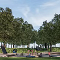 Natural Children's Play Area With Grassland Tree Stumps Kids Playing Surrounded By Trees
