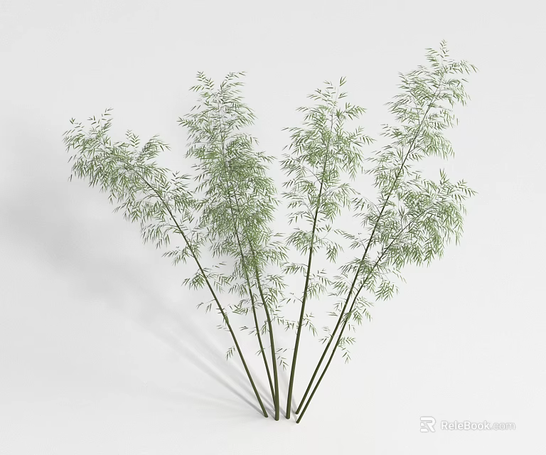 Clustered Bamboo Plants With Green Leaves And Slender Stems For Decoration 3d model 