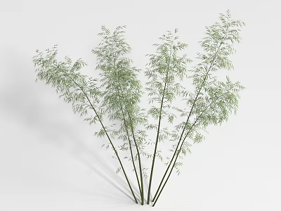 Clustered Bamboo Plants With Green Leaves And Slender Stems For Decoration 3d model