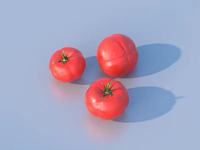 Three Fresh Red Ripe Healthy Tomatoes on Light Blue Surface 3d model