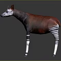 Okapi Wildlife Animal With Reddish Brown Body And Black White Striped Legs