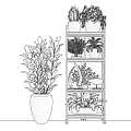 Indoor Bonsai Plants Arrangement On Multi Tiered Shelf With Colorful Foliage And Decorative Pieces