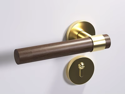 Sleek Modern Door Handle Design With Walnut Wood Grip And Brass Metal Accents 3d model
