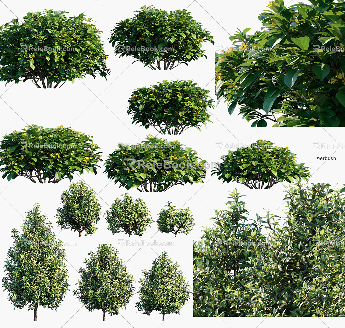 Modern Shrub Landscape Shrubs 3d model