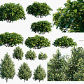 Modern Shrub Landscape Shrubs 3d model