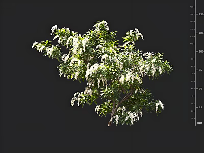Modern horse drunkard tree shrub garden landscape trees greening green plants 3d model