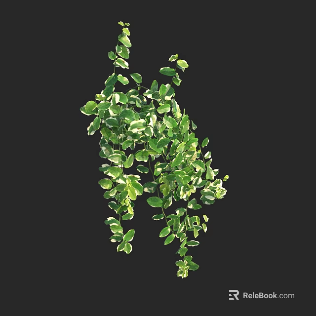 Lush Green Vines With Hanging Leaves And Natural Decorative Foliage 3d model 