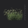 Lush Green Shrub With Height Measurement Scale And Detailed Foliage Growth
