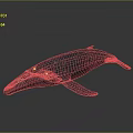 Blue Whale Realistic 3D Model With Detailed Texture And Lifelike Pose Against Gray Gradient Background