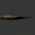 Unique Horned Fish Featuring Orange Eyes Spotted Body And Yellow Fins