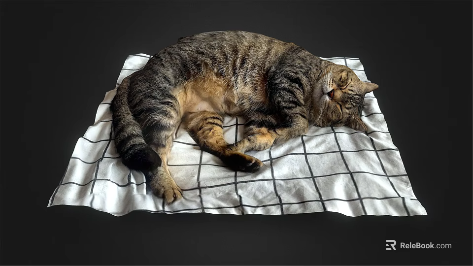 Adorable Tabby Cat Sleeping Peacefully On Black And White Plaid Blanket 3d model 