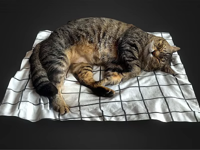Modern cats sleep in bed 3d model Modern cats sleep in bed 3d model