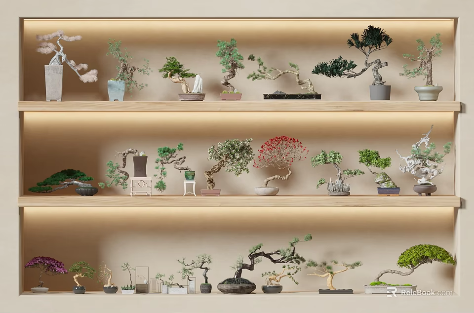 Various Bonsai Trees Displayed On Multiple Shelves With Different Styles And Shapes 3d model