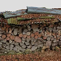 Wooden Logs Stacked Structure With Corrugated Metal Roof And Tree Trunk Surrounded By Fallen Leaves