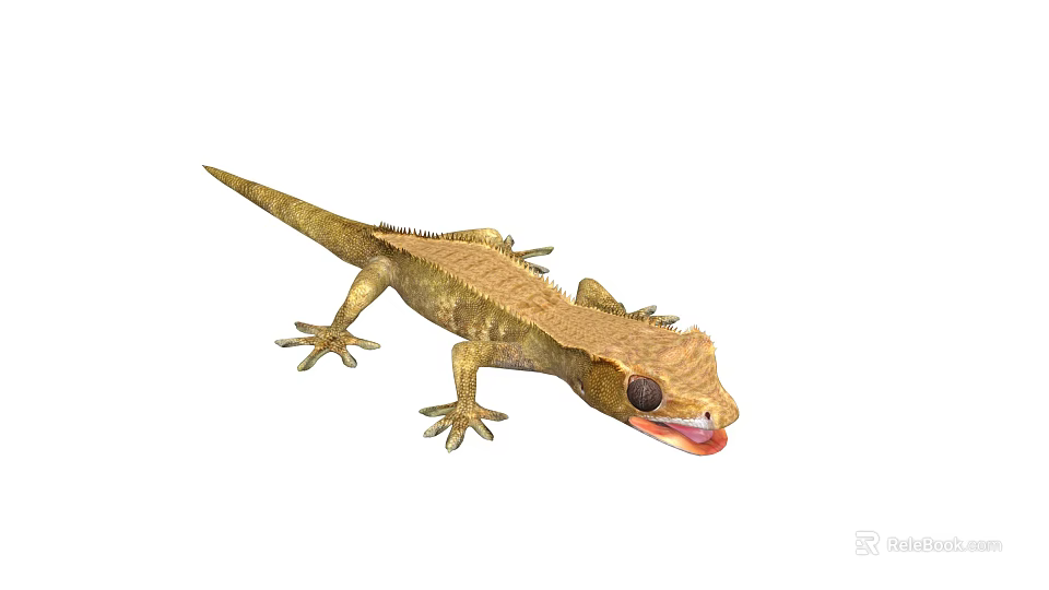 Brown Gecko With Scales Claws And Extended Tongue On White Background 3d model 