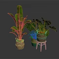 Lush Green Banana Leaf and Monstera Plants in Woven Planters on Wooden Stool