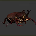 Red Beetle with Large Body Horns and Red Legs on Gray Background with Reflection