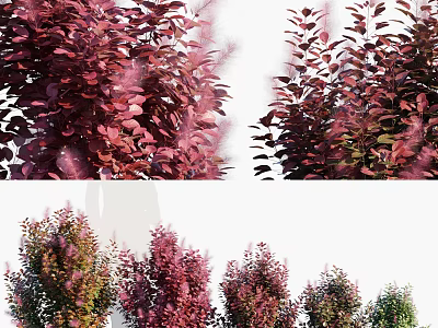 Colorful Leafy Bushes With Red Purple Green Foliage For Landscaping Garden 3d model