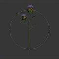 3D Rendered Thistle Plant With Two Buds Green Stem On Dark Background