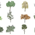 The Modern Tree 3d model