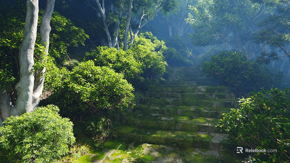 Lush Tall Trees Surrounding Moss Covered Stone Steps With Green Shrubs 3d model 
