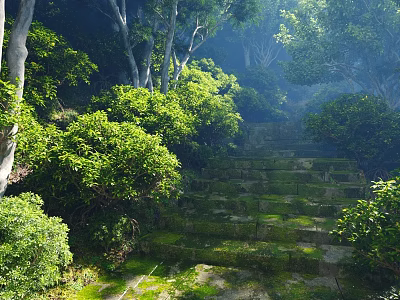 Lush Tall Trees Surrounding Moss Covered Stone Steps With Green Shrubs 3d model