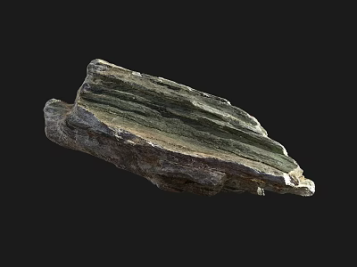 Natural Layered Stone Wood with Textured Surface and Earthy Color Patterns 3d model