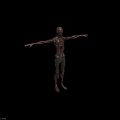 Decayed Zombie Creature Character With Tattered Pants And Outstretched Arms 3d model