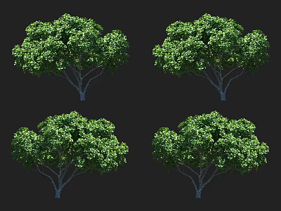 Arbor With Green Dense Foliage And Full Crown Four Different Perspectives 3d model