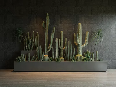 Multiple Bonsai Potted Cactus Plants In Gray Planter With Dark Wall Background And Wooden Floor 3d model