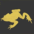 Brown Spotted Toad With Blue Eyes And Textured Skin Lying On Dark Reflective Surface