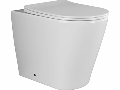 Modern White Wall Mounted Tankless Toilet With Sleek Ceramic Design 3d model