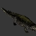 Realistic Crocodile Head Close Up Showing Open Mouth Sharp Teeth And Textured Skin