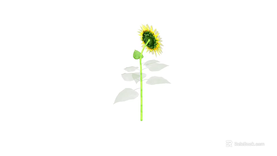 Beautiful Sunflower Plant with Green Stem Fresh Leaves Yellow Petals and Brown Center 3d model 