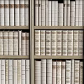 Stylish Bookcase With Multiple Shelves Neatly Arranged Books Neutral Tones And Textured Covers