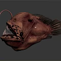 Red Anglerfish With Sharp Teeth And Fishing Lure On Head Deep Sea Creature