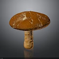 Detailed Orange Mushroom With Cracked Cap And Textured Stem