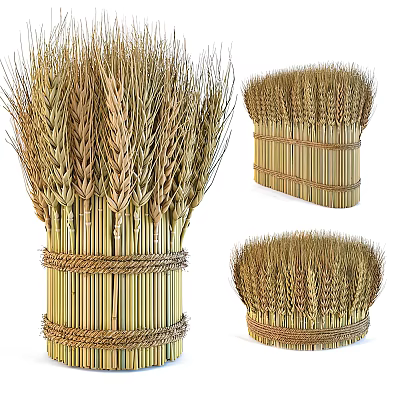 Natural Wheat Bundles Decorative Display With Bamboo Sticks And Rope Binding 3d model